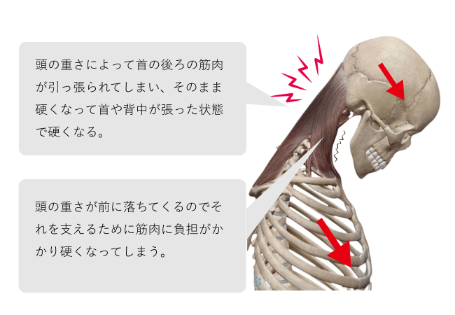 施術前